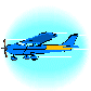 plane.jpg (8245 bytes)