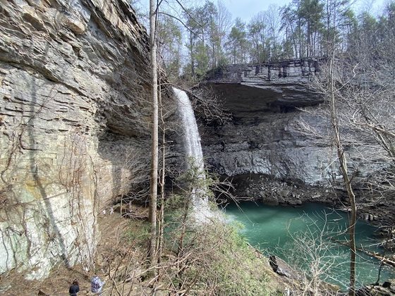 Ozone Falls dropping into its wooded rock gorge
