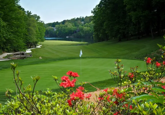 Stonehenge Golf Club fairway and green with flowering shrubs