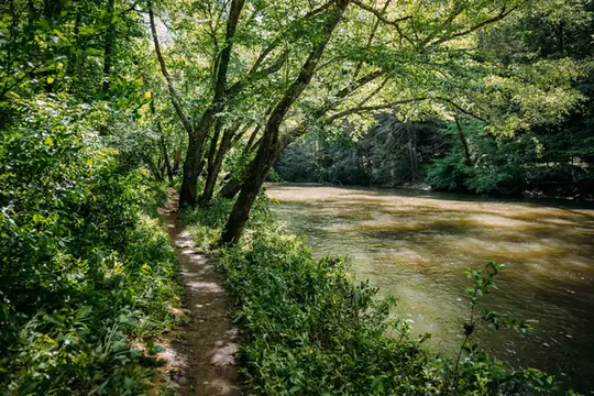 A wooded riverside path pictured in the Explore Crossville guide to Obed River Park Hiking Trail