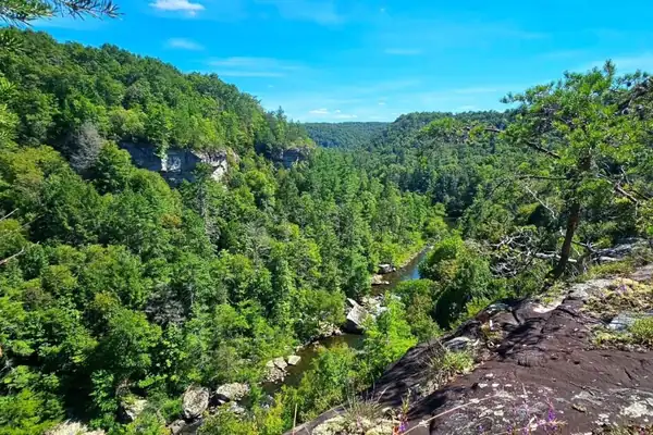 Daddy’s Creek gorge viewed from an overlook on the Cumberland Trail