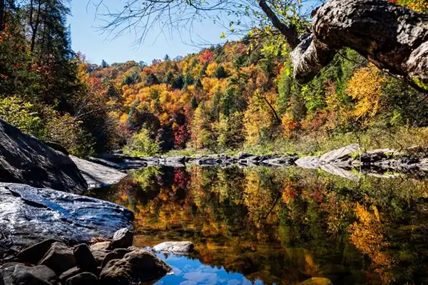Clear Creek at Lilly Bridge in Obed Wild and Scenic River during fall