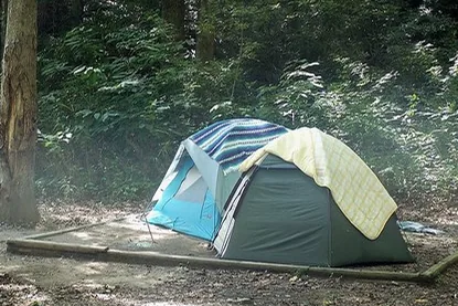 Tent on a wooded campsite at Rock Creek Campground in the Obed